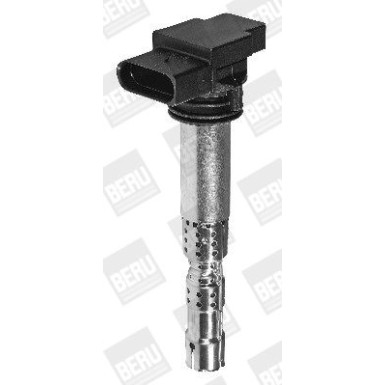 BorgWarner (BERU) Zündspule ZSE031
