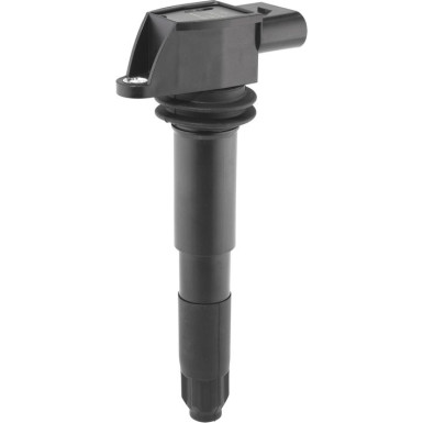 BorgWarner (BERU) Zündspule ZSE012