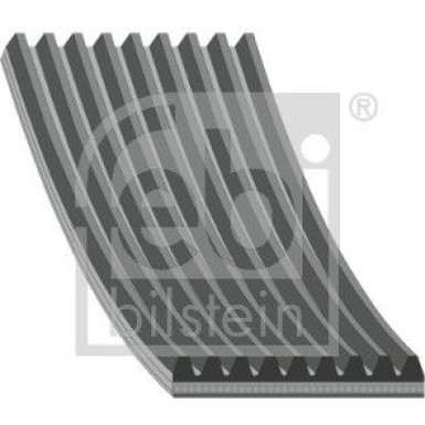 FEBI BILSTEIN 40318 Keilrippenriemen