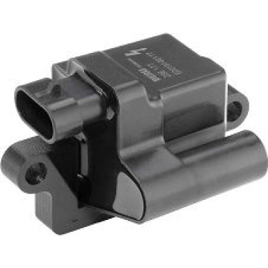 BorgWarner (BERU) Zündspule ZSE177