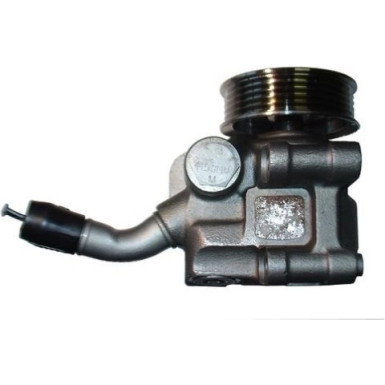 Hydraulikpumpe, Lenkung 54253 Hydraulikpumpe, Lenkung 54253