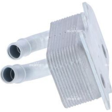 Ölkühler, Motoröl 31299