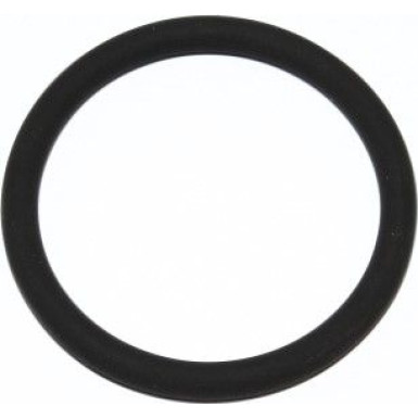 Dichtring 165.520 Dichtring 165.520