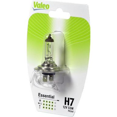 Valeo Glühlampe, Abbiegescheinwerfer ESSENTIAL 032008