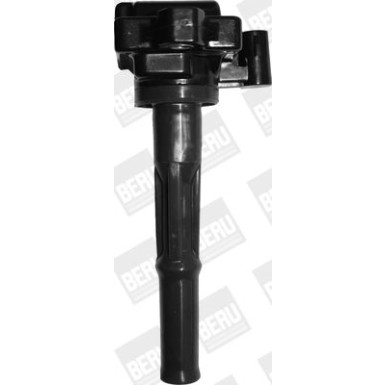 BorgWarner (BERU) Zündspule ZS473