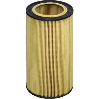 Hengst Filter Ölfilter E43H D213