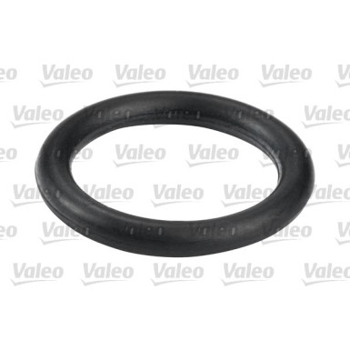 Valeo Kraftstofffilter 587555
