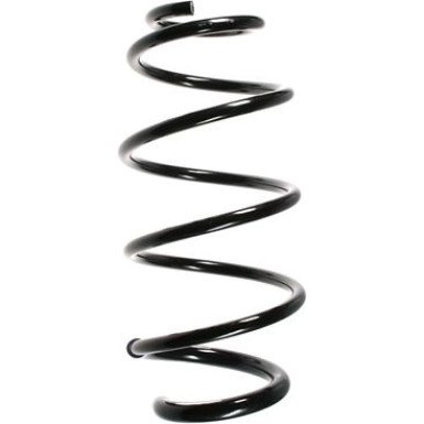 Spidan Fahrwerksfeder 85039