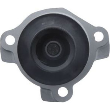 Valeo Wasserpumpe, Motorkühlung 529200