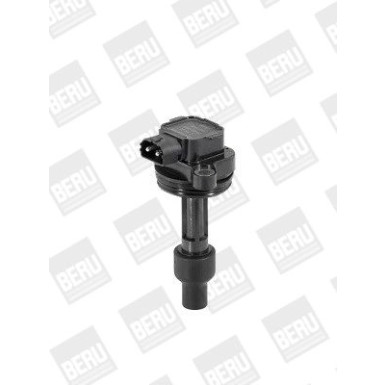 BorgWarner (BERU) Zündspule ZS446