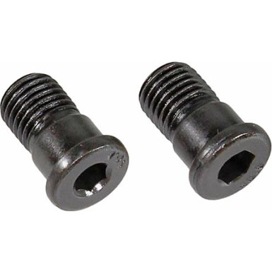Metzger Schraube, Bremsscheibe 2 Stück 11666K