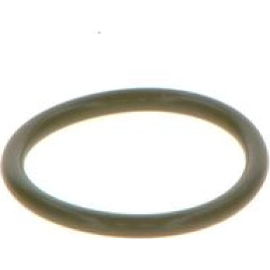 BOSCH Dichtring F 00V C38 041