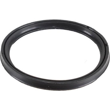 Metzger Dichtring 2430136