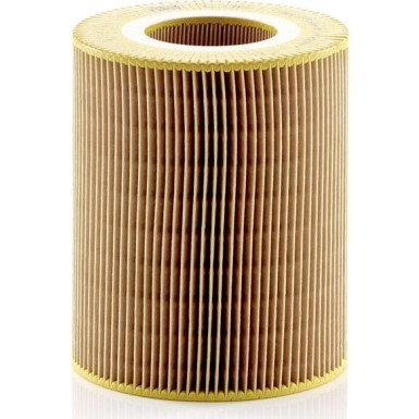MANN-FILTER C 1381 Luftfilter
