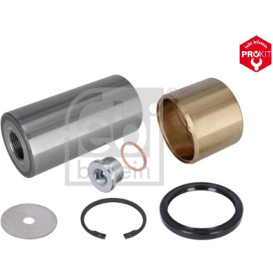 FEBI BILSTEIN 06891 Reparatursatz, Achsschenkelbolzen
