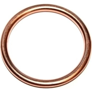 Elring Dichtring 813.184