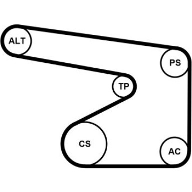 ContiTech Keilrippenriemensatz 5PK1355K1