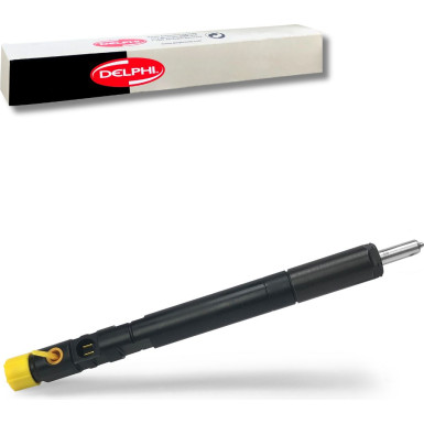 Delphi Einspritzventil R04201D