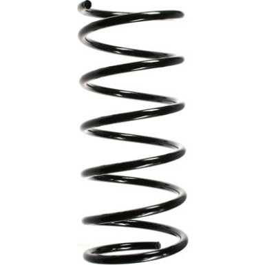Spidan Fahrwerksfeder 55160