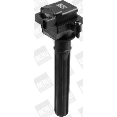 BorgWarner (BERU) Zündspule ZS431
