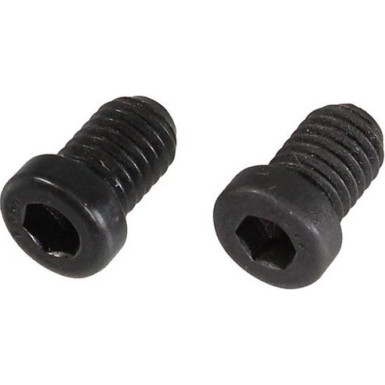 Metzger Schraube, Bremsscheibe 2 Stück 11668K