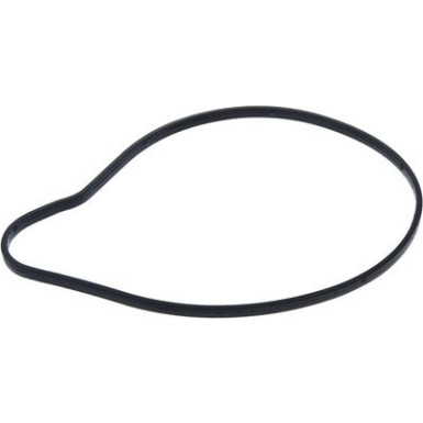 Valeo Wasserpumpe, Motorkühlung 529408