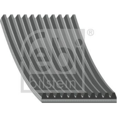 FEBI BILSTEIN 45913 Keilrippenriemen