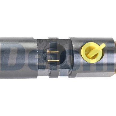 Delphi Einspritzventil R00501Z
