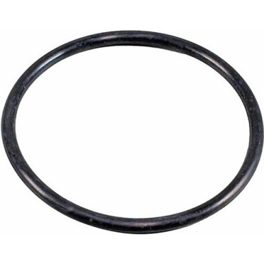 Metzger Dichtung, Thermostatgehäuse 4010518