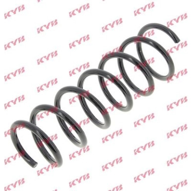 Fahrwerksfeder RG6793 Fahrwerksfeder RG6793