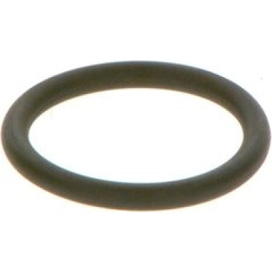 BOSCH Dichtring F 00R J01 452