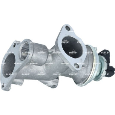 NRF AGR-Ventil 48702
