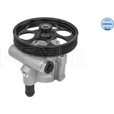 Hydraulikpumpe, Lenkung 16-16 631 0002