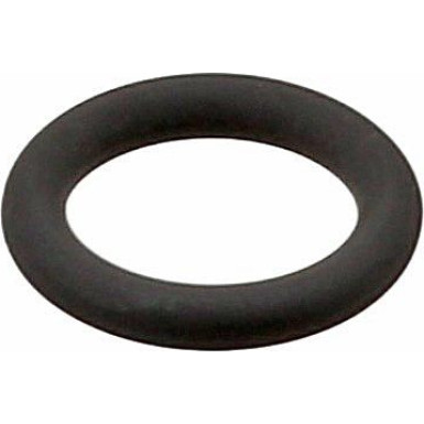 Dichtring 509.750 Dichtring 509.750