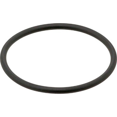 Dichtring 382.550 Dichtring 382.550