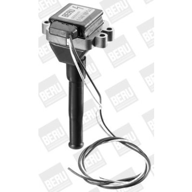 BorgWarner (BERU) Zündspule ZS043