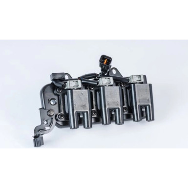 BorgWarner (BERU) Zündspule ZS555