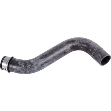 FEBI BILSTEIN 170439 Kühlerschlauch FEBI BILSTEIN 170439 Kühlerschlauch