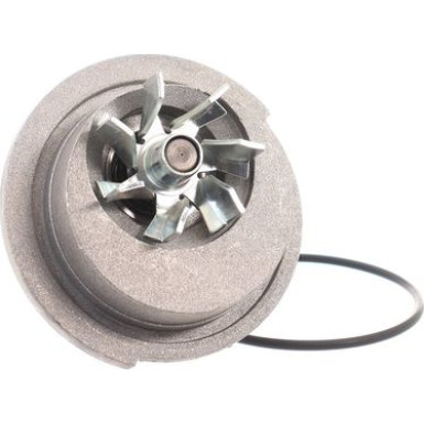 SKF Wasserpumpe Aquamax VKPC 90202