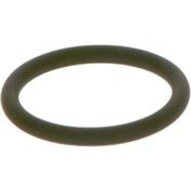 BOSCH Dichtring F 00R J00 534