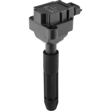 BorgWarner (BERU) Zündspule ZS041