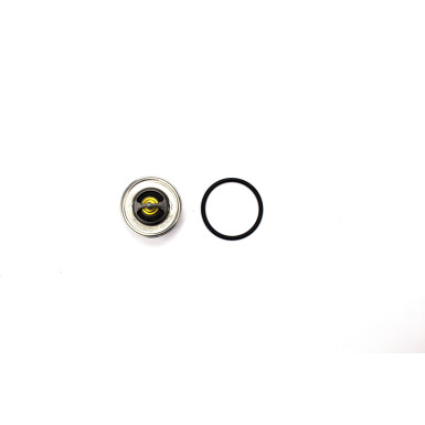 BorgWarner Thermostat, Kühlmittel 4264.87D