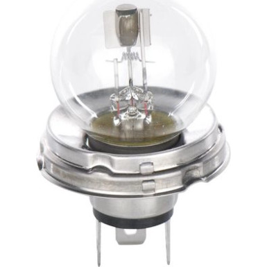 BOSCH Glühlampe Trucklight 1 987 302 421