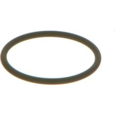 BOSCH Dichtring F 00V C38 002