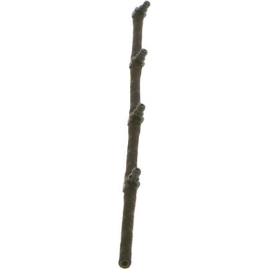 Schlauch, Leckkraftstoff 0 928 400 599 Schlauch, Leckkraftstoff 0 928 400 599