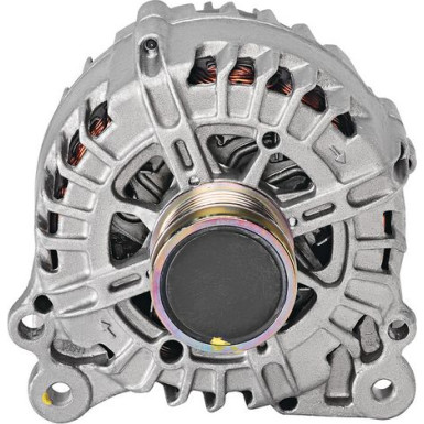 Generator 439821 Generator 439821