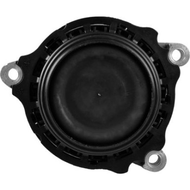 Tedgum Lagerung, Motor TED96521