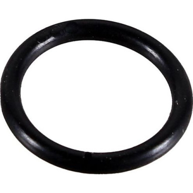 Dichtring 2430022 Dichtring 2430022