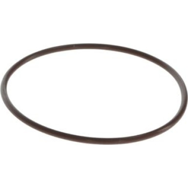 BOSCH Dichtring F 00N 201 473