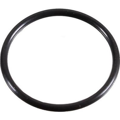 Metzger Dichtring 2430048